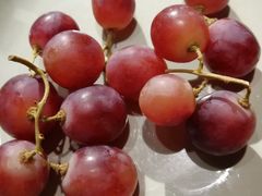 -九寸钉自助·炭火烤肉烧烤(欧乐时尚广场店)
