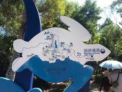 -广东惠东海龟国家级自然保护区