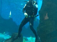 -北戴河圣蓝海洋公园