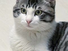 -达爱动物医院·犬猫分区·CT·复杂眼科(远洋山水分院)