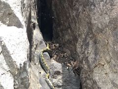 -百里山水画廊乌龙峡谷