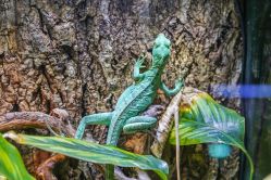 -酷嗒动物文化乐园(cutezoo西溪乐天城店)