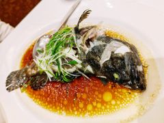 清蒸花尾龙趸斑-稻香酒家(天河城店)