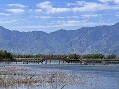 -野鸭湖国家湿地公园