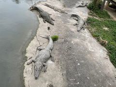 -广州长隆飞鸟乐园