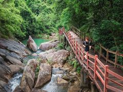 -广州白江湖森林公园