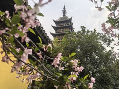 -常熟方塔园