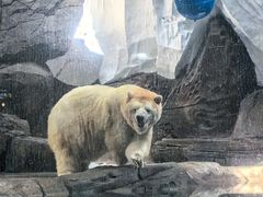 -海合安武汉极地海洋公园
