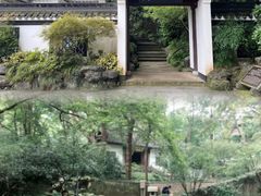 -虎跑公园