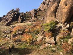 -克什克腾世界地质公园青山景区