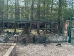 -南京金牛湖风景区