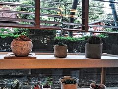 -黑胶星球(华发中城商都店)