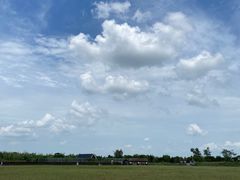 -盐城丹顶鹤湿地生态旅游区