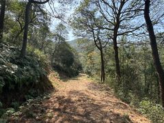 -北仑森林植物园