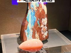 -中国地质博物馆