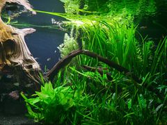 -上海海洋水族馆