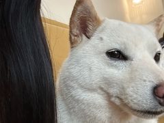 -柴の食堂·日式家庭料理·熊之肆(大学路店)