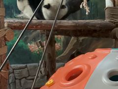 -青藏高原野生动物园