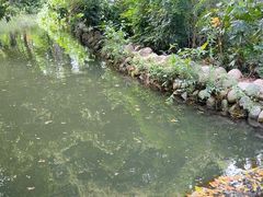 -成都市活水公园