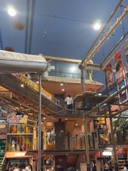 -卡通尼·Safari非洲探索乐园·生日会(金桥国际商业广场店)