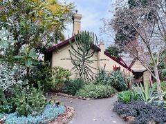 -墨尔本皇家植物园