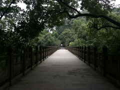 -南山植物园