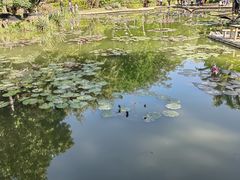 -曼听御花园