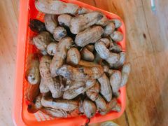 -高原第一家资格烤羊肉(玉林南路总店)