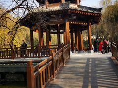 -西安市长乐公园