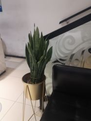 -LJOY丽锦造型·烫发染发
