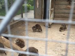 -西安秦岭野生动物园