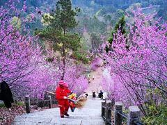 -天台山赤城山景区