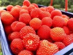 -宁波五龙潭景区