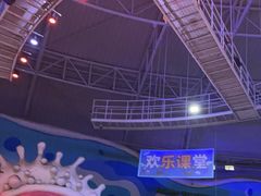 -烟台海昌鲸鲨海洋公园