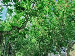-安福路