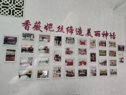 -香薇妮丝·定制减肥·身材管理