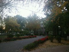 -辽宁大学(崇山校区)