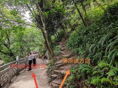 -南山植物园