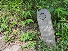 -梧桐山风景名胜区