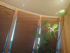 -桂满陇·蟹黄小笼汤包(清河万象店)