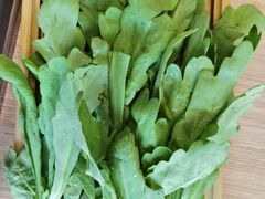 -蝎王府羊蝎子(西直门店)