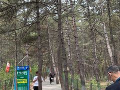 -帽儿山国家森林公园