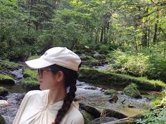 -汤旺河林海奇石景区