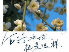 -南京古林公园