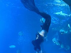 -太平洋海底世界