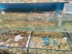 -仙螺岛海鲜自助餐厅(总店)
