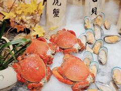 -盛宴自助餐厅(运达喜来登店)
