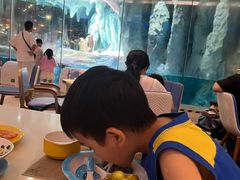 -帝企鹅自助餐厅•儿童岛•真企鹅(长隆企鹅酒店)