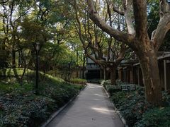 -徐家汇源景区-衡山公园