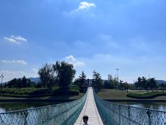 -羊亭河湿地公园